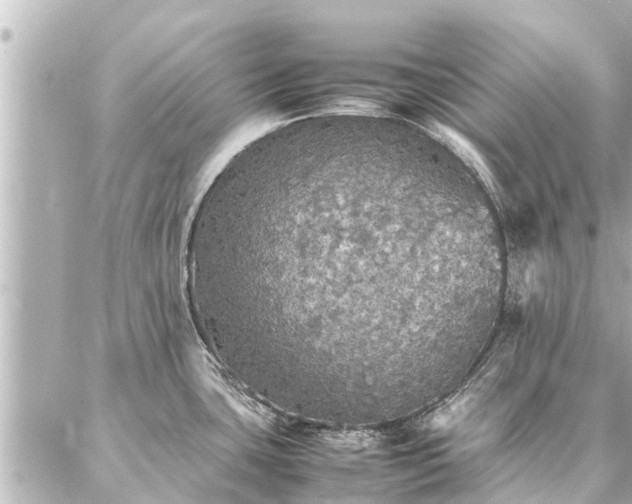 X0000087061435200704251018