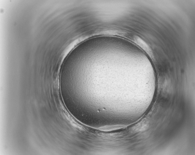 X0000087061436200704251018