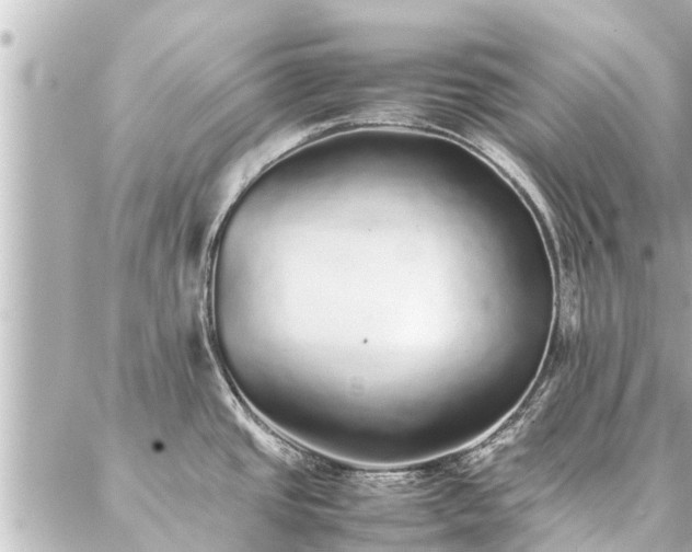 X0000087061437200704251018