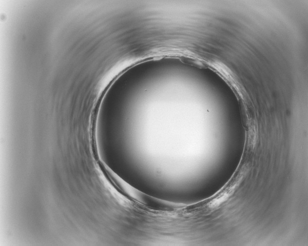 X0000087061438200704251018