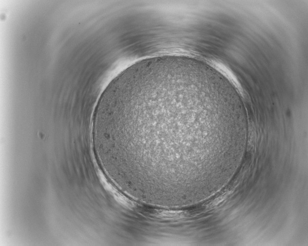 X0000087061439200704251018