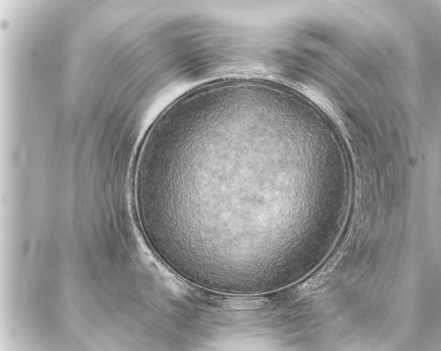 X0000087061440200704251018