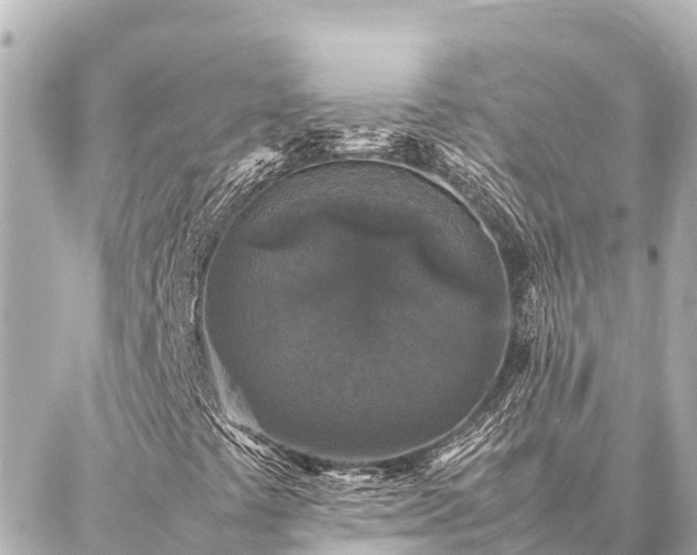 X0000087061441200704251017