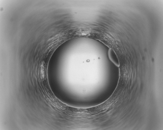 X0000087061442200704251017