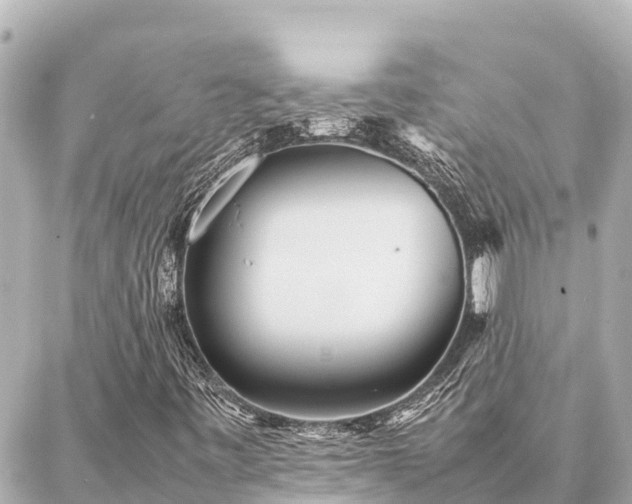 X0000087061443200704251017