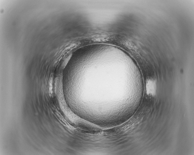 X0000087061444200704251017