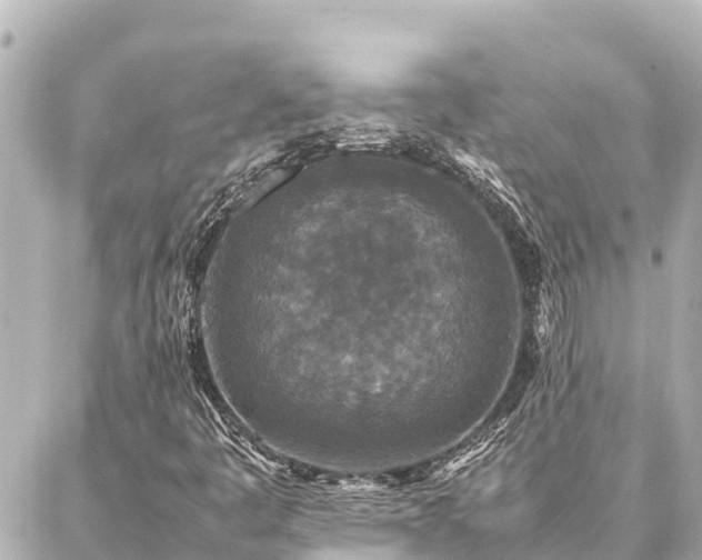 X0000087061445200704251017