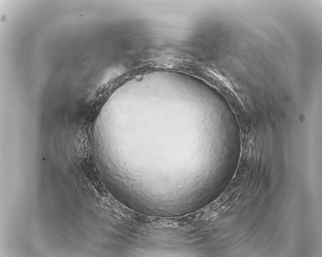 X0000087061446200704251017