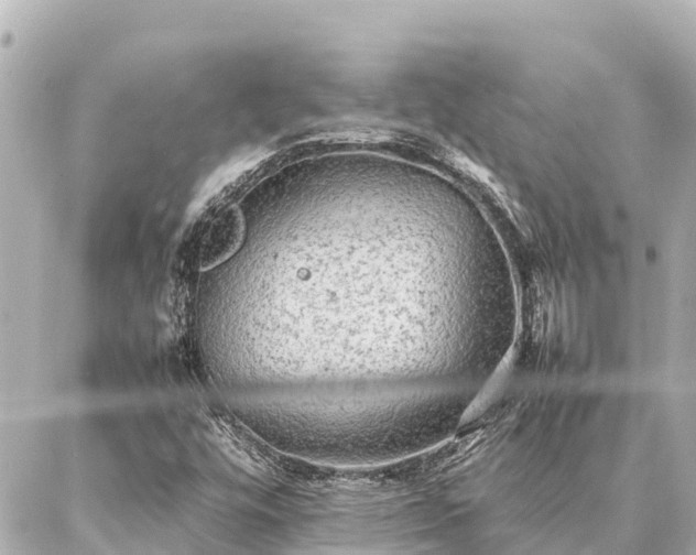 X0000087061448200704251017