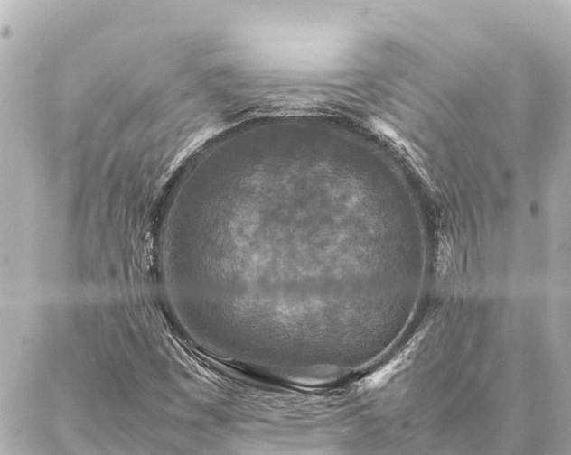 X0000087061449200704251017