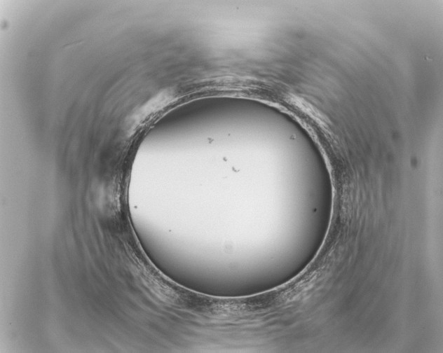 X0000087061451200704251017