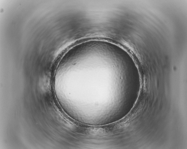 X0000087061452200704251017