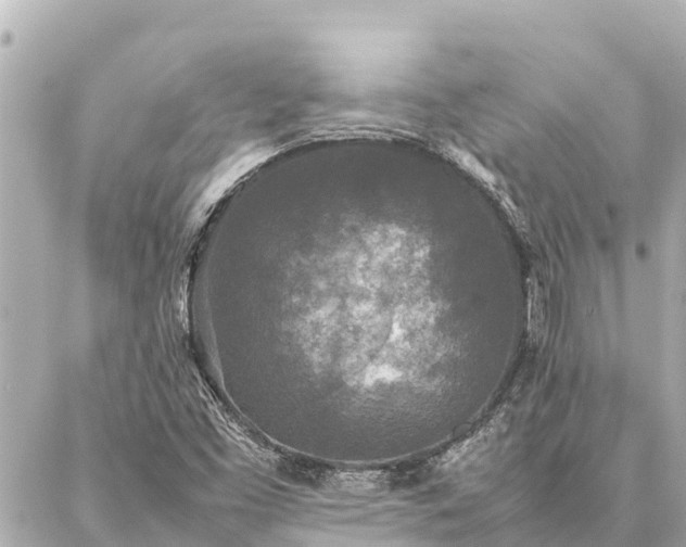 X0000087061453200704251017