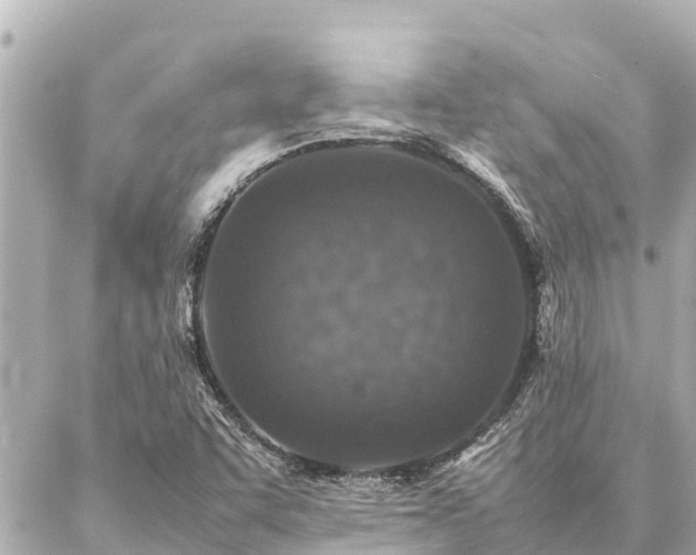 X0000087061455200704251017