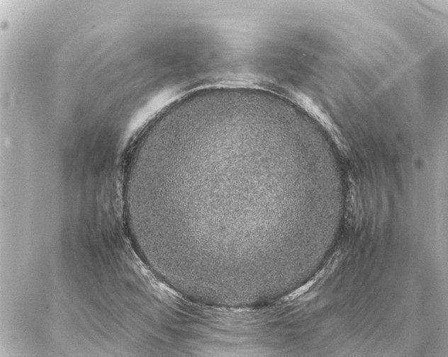 X0000087061456200704251017