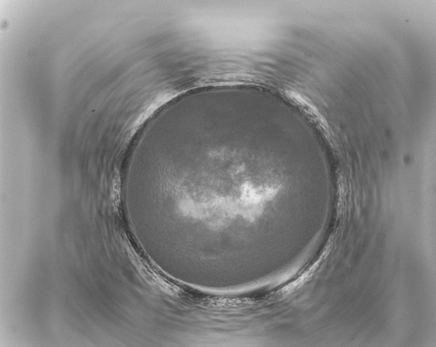 X0000087061457200704251017