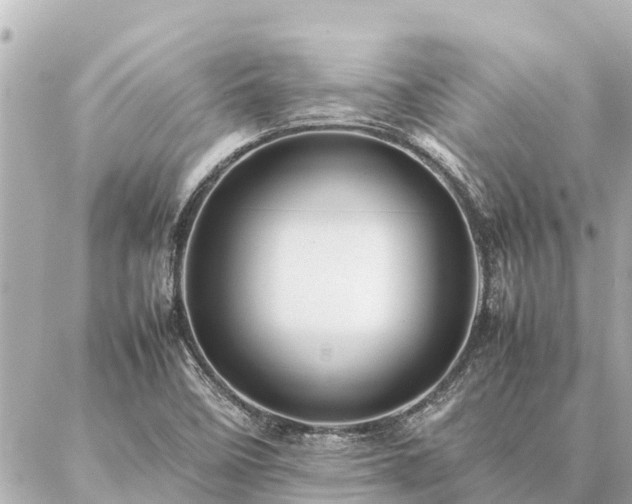 X0000087061458200704251017