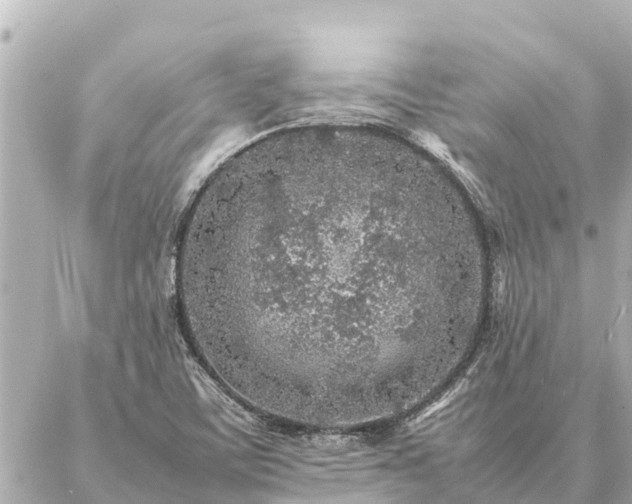 X0000087061459200704251017