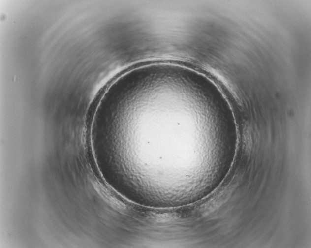 X0000087061460200704251017