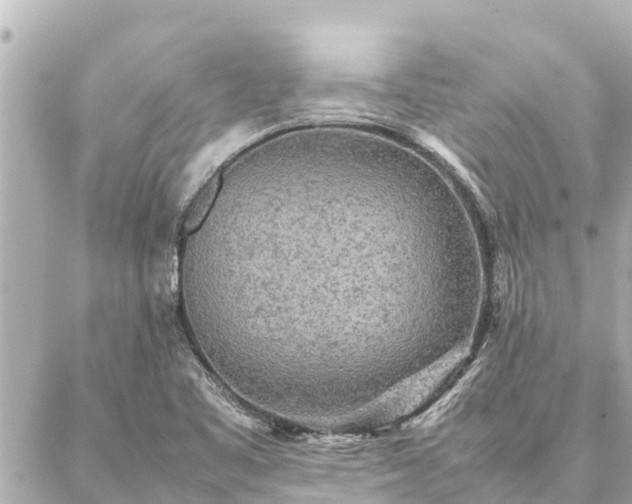 X0000087061461200704251017