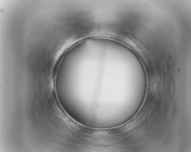 X0000087061462200704251017