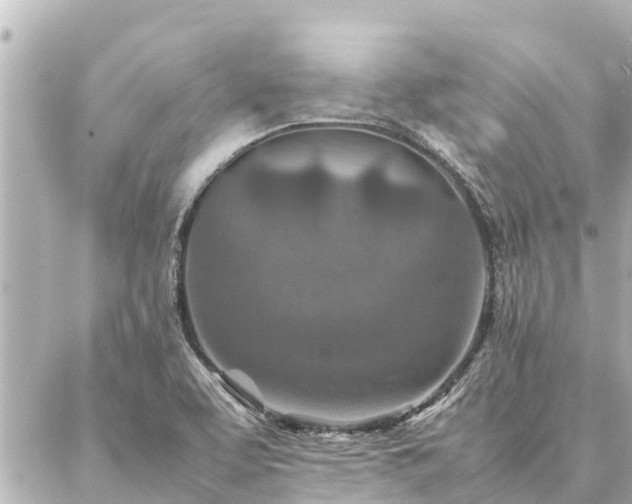 X0000087061463200704251017