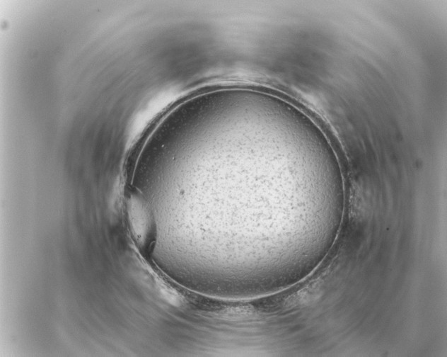 X0000087061464200704251017