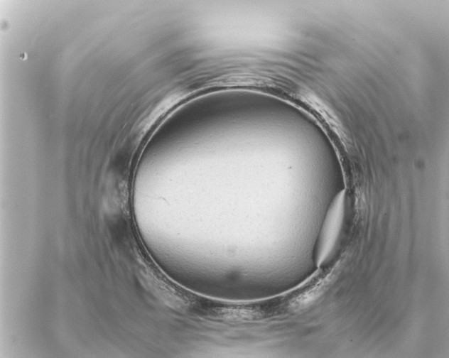 X0000087061465200704251017