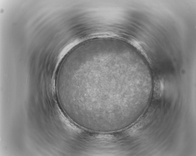 X0000087061466200704251017