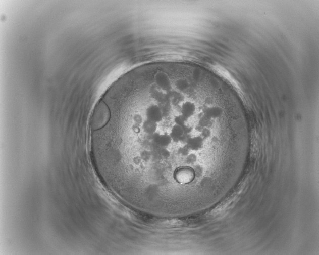 X0000087061467200704251017