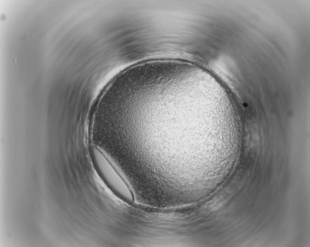 X0000087061468200704251017