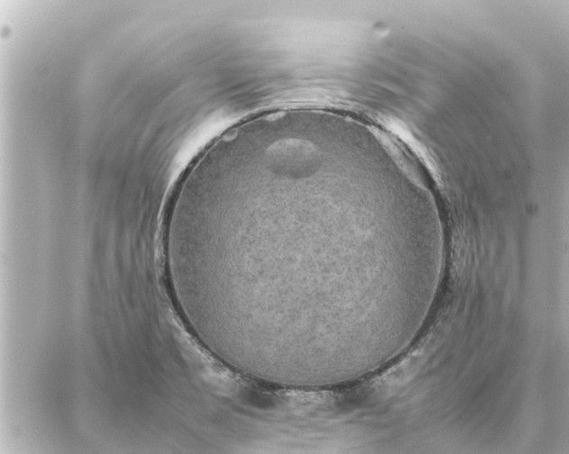 X0000087061469200704251017