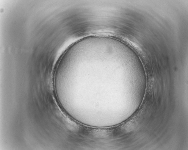 X0000087061470200704251017