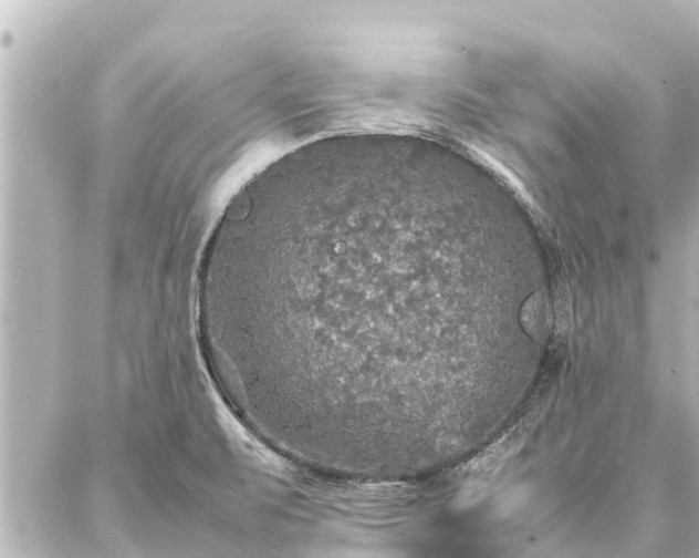 X0000087061471200704251017