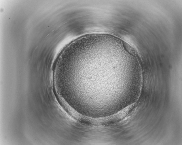 X0000087061472200704251017