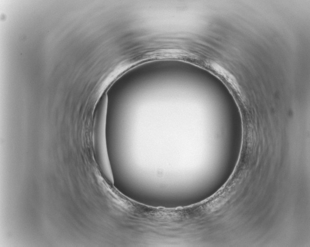 X0000087061473200704251017