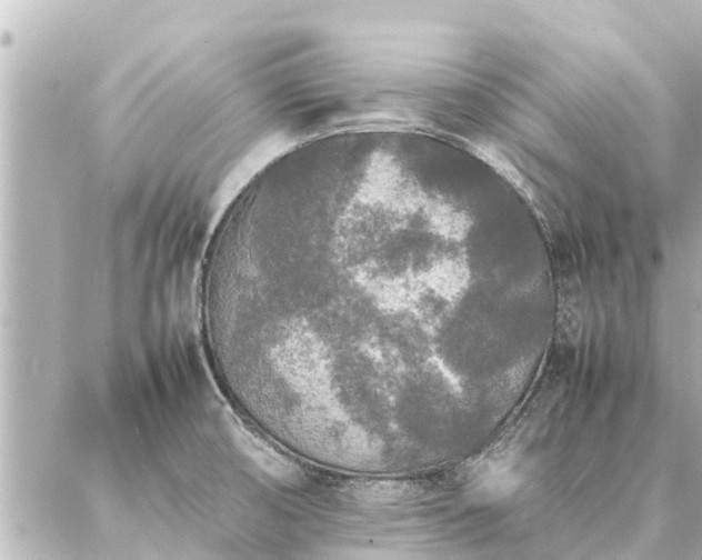 X0000087061474200704251017