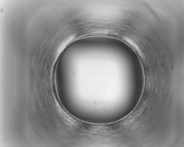 X0000087061475200704251017