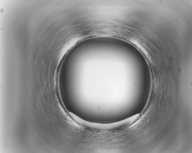 X0000087061477200704251017