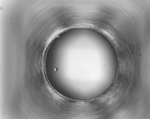 X0000087061478200704251017