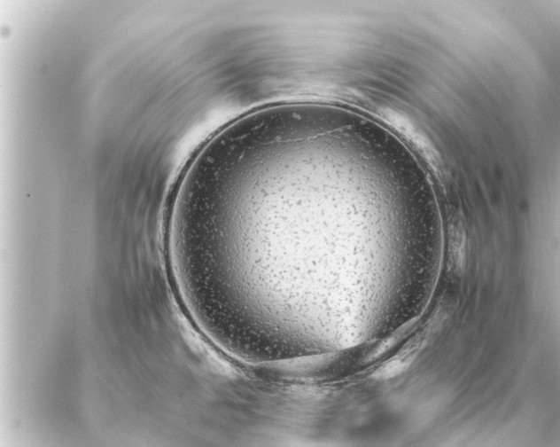 X0000087061480200704251017