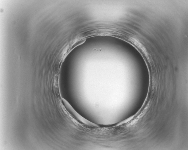 X0000087061481200704251017