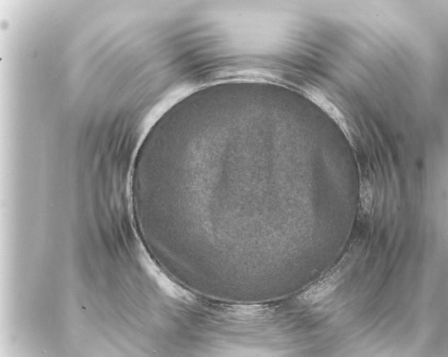 X0000087061482200704251017