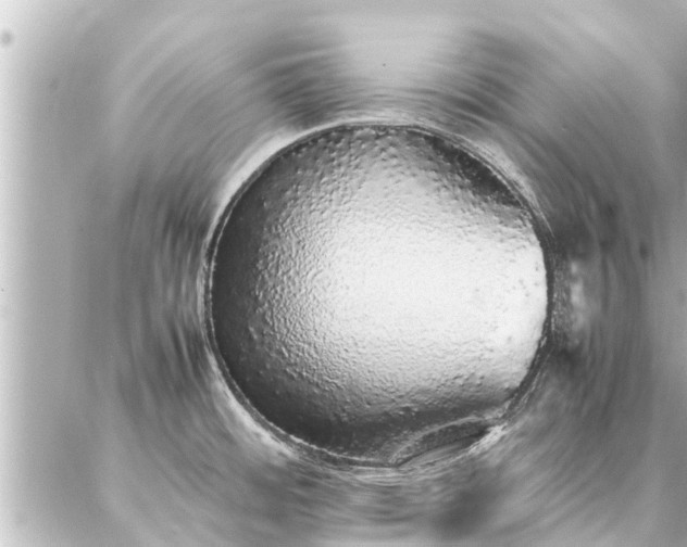 X0000087061484200704251016