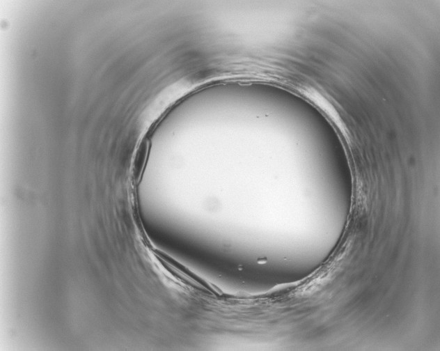 X0000087061485200704251016