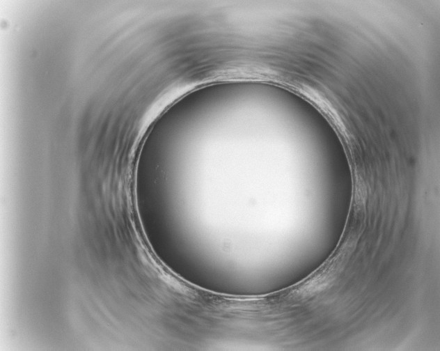 X0000087061486200704251016