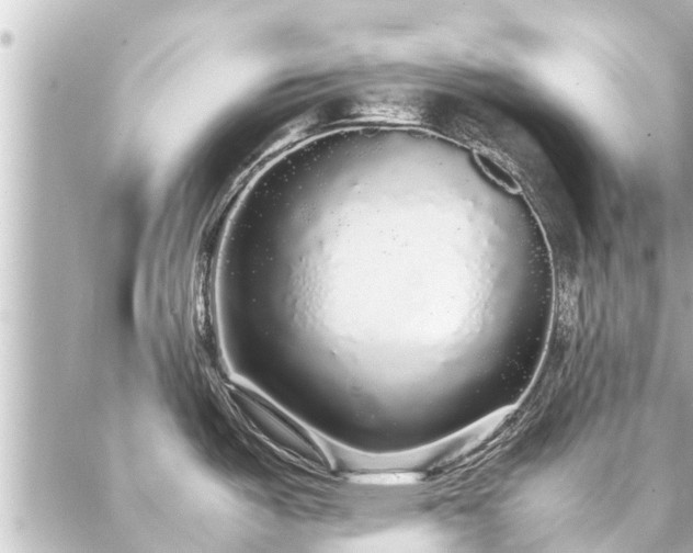 X0000087061487200704251016