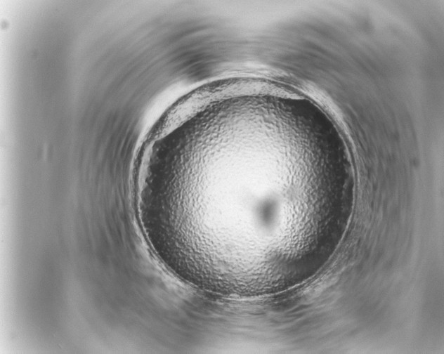 X0000087061488200704251016