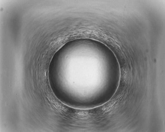 X0000087061489200704251016