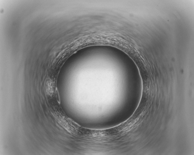 X0000087061490200704251016